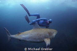 A free diver encounters the docile Canadian freshwater sh... by Michael Grebler 